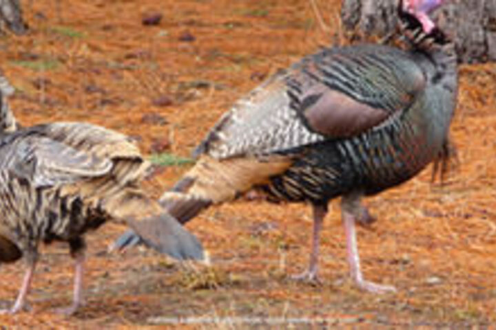 Property Grounds 14 of 17