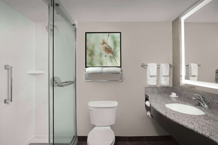 Bathroom shower