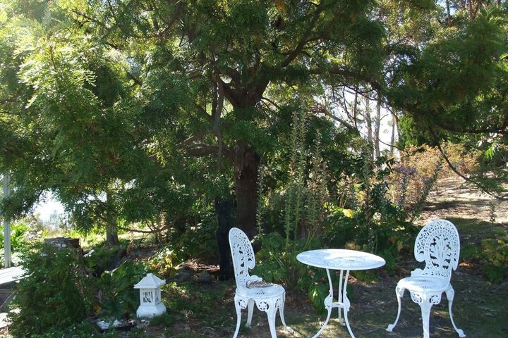 Terrace/Patio 16 of 19