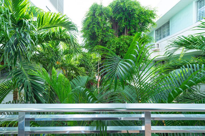 Garden view