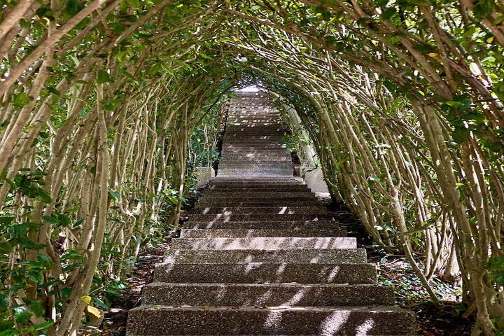 General 22 of 44