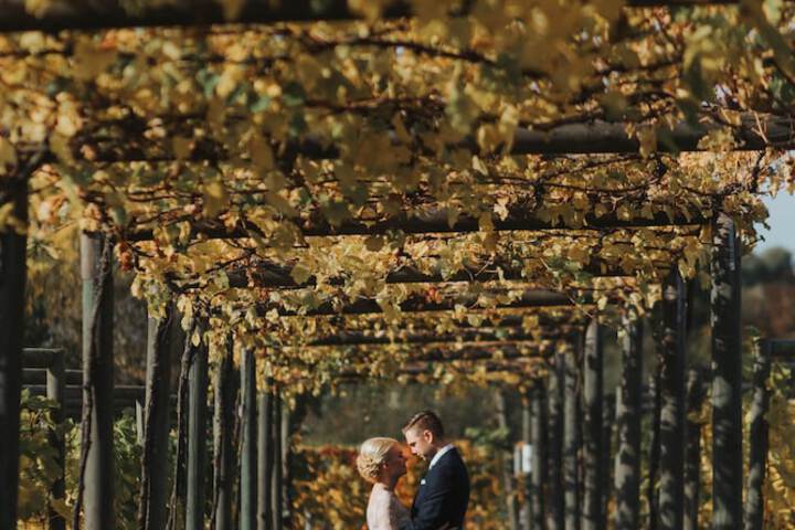 Wedding/Banquet 56 of 63