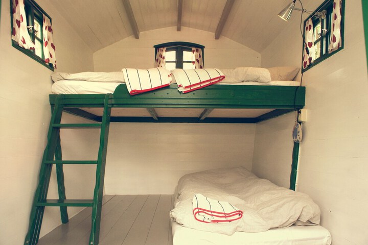 Room 15 of 47
