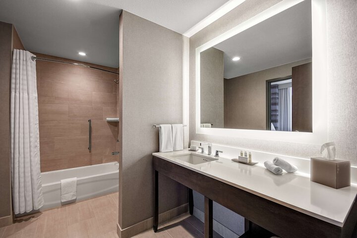 1 King 2 Room Suite Mobility Accessible with Tub (6 of 17)