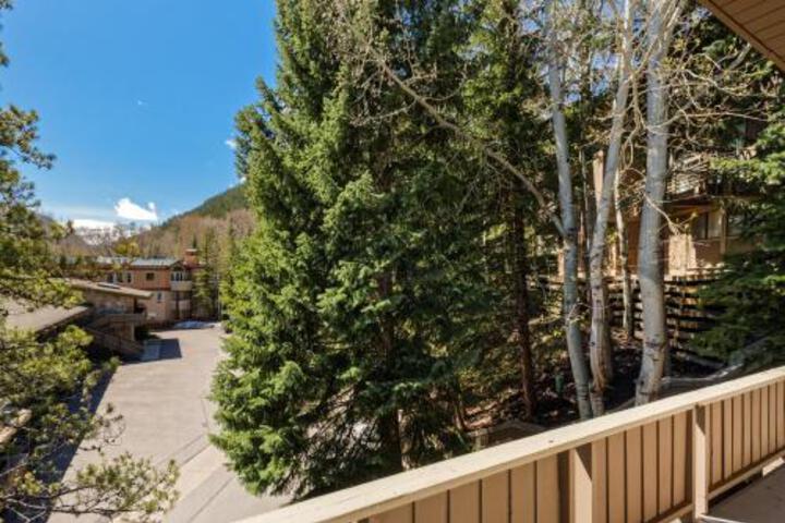 Exterior of Deluxe Aspen Alps 209
