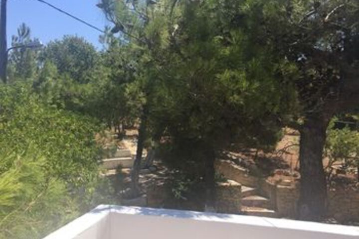 Property Grounds 36 of 49