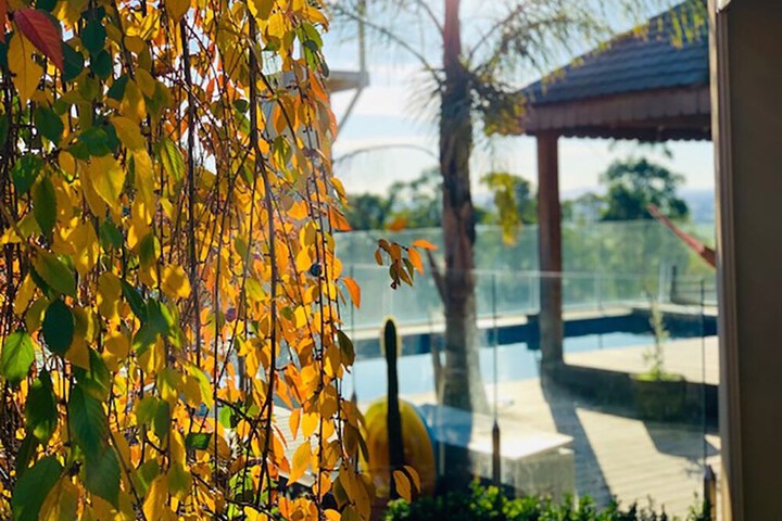 Pool 87 of 138