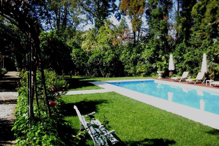 Hotel Pool