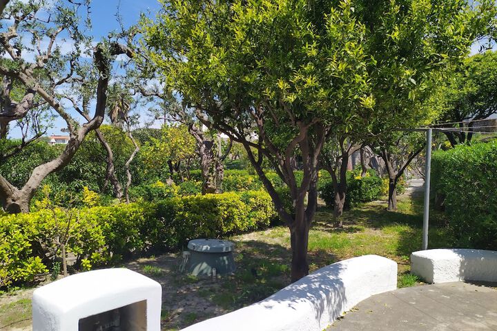 Terrace/Patio 141 of 246