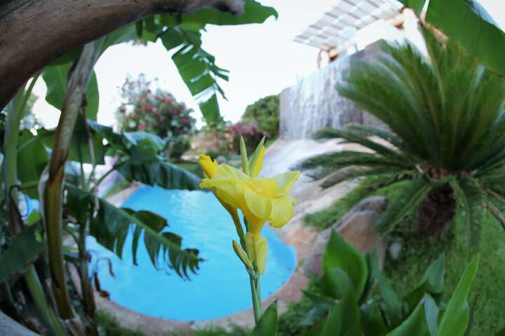 Hotel Pool