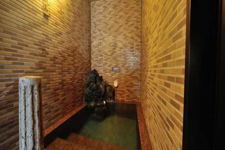 Room 25 of 65