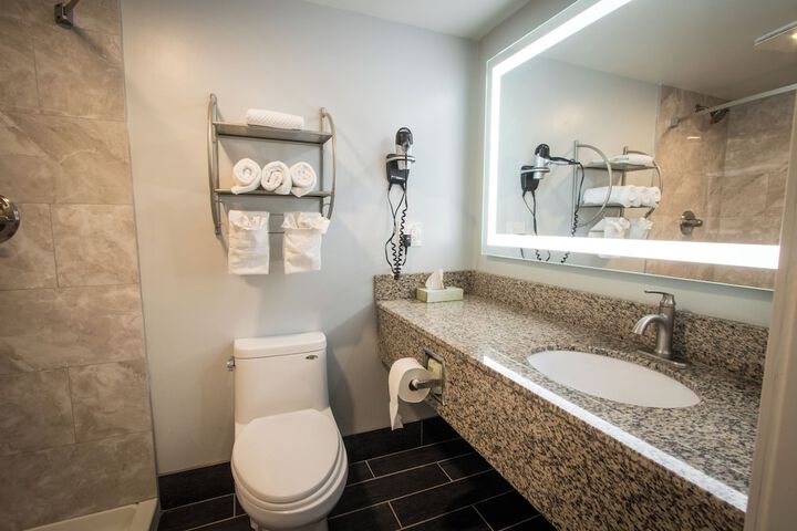 1 King Bed Pet Friendly Accessible (49 of 90)