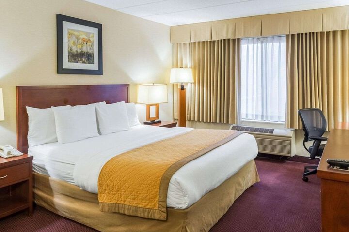 1 King Bed (6 of 12)
