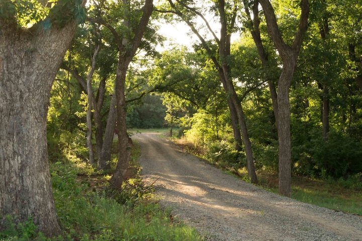 Outdoor Activities 15 of 36