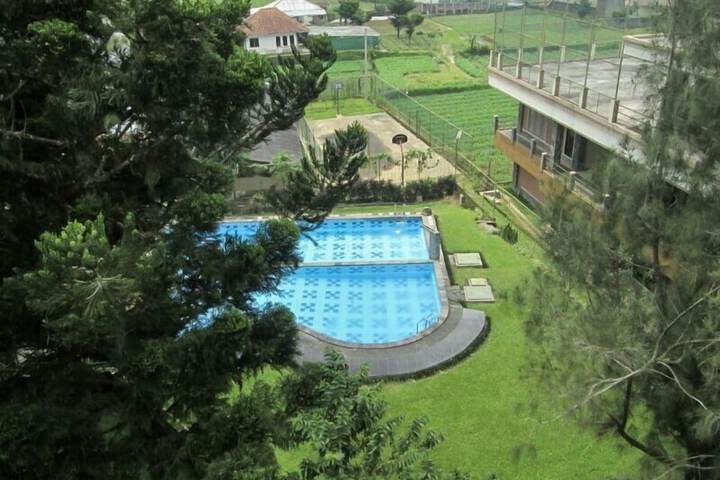 Pool 37 of 97