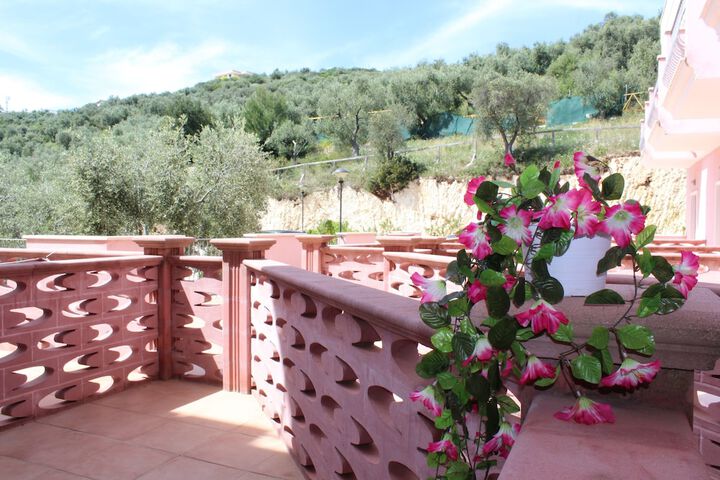 View from room