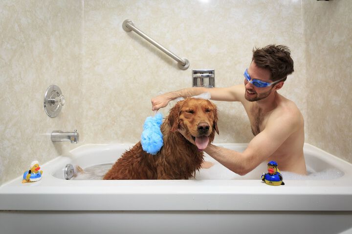 Pet Friendly 48 of 78