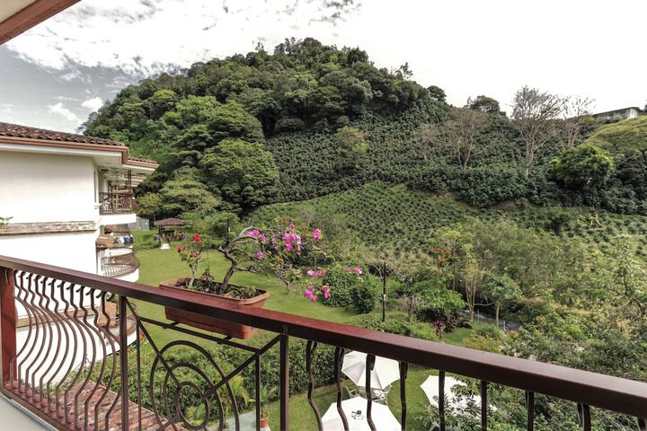View from room