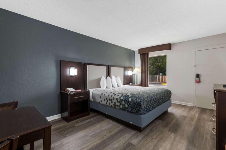 1 King Bed (16 of 24)