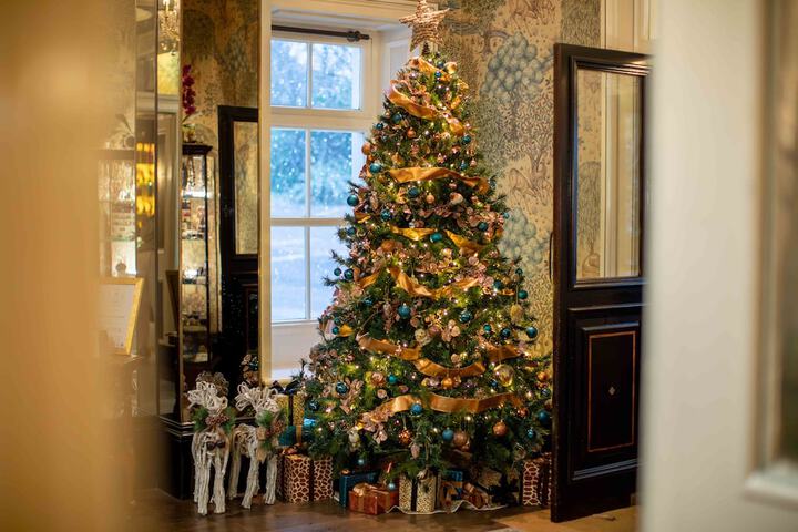 Hotel 2 of 113