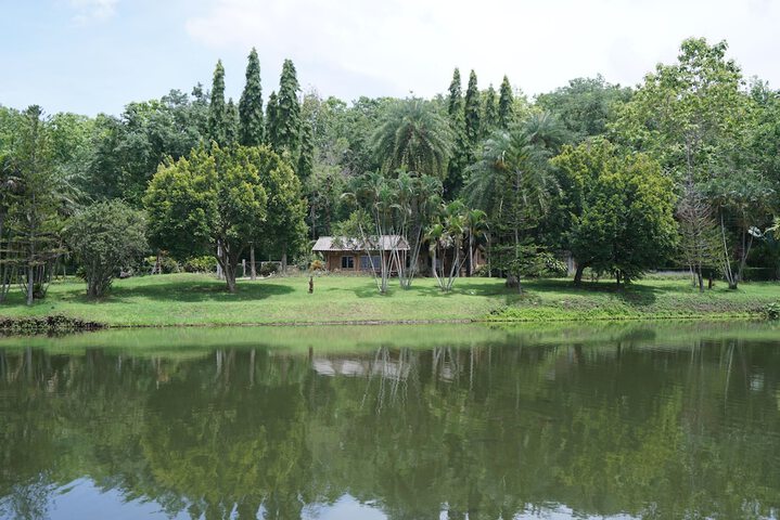 Property Grounds 15 of 25