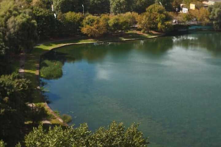 Property Grounds 21 of 22