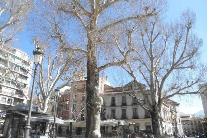 Exterior of Romanilla Plaza