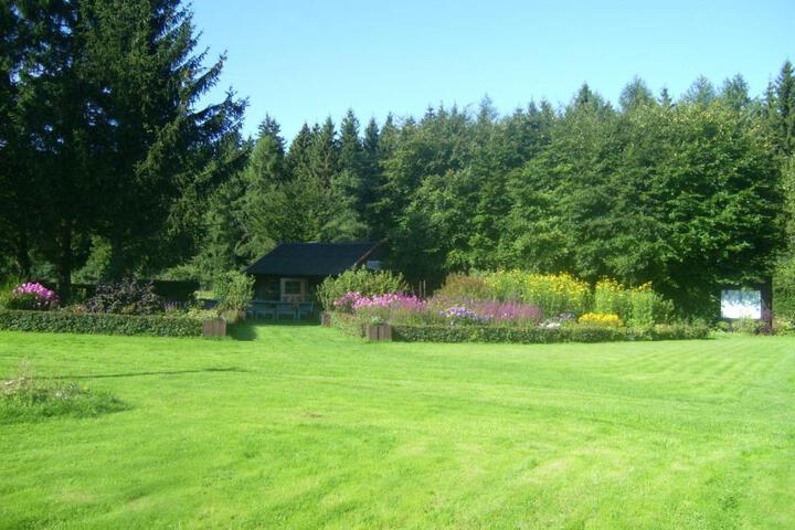Photo 13