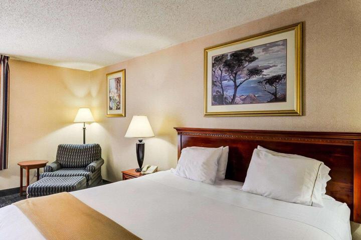 1 King Bed (5 of 15)