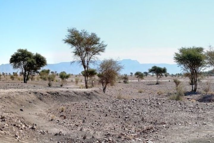 Property Grounds 15 of 22