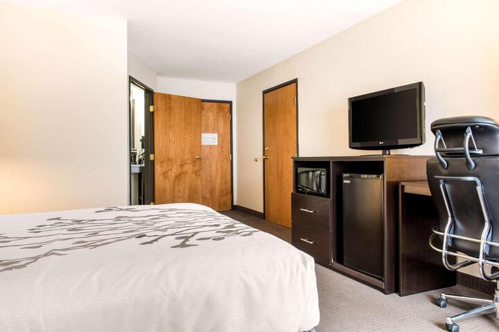 1 Queen Bed Accessible (3 of 19)
