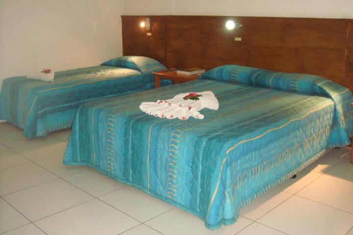 Room 14 of 42