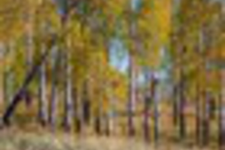 Outdoor Activities 62 of 117