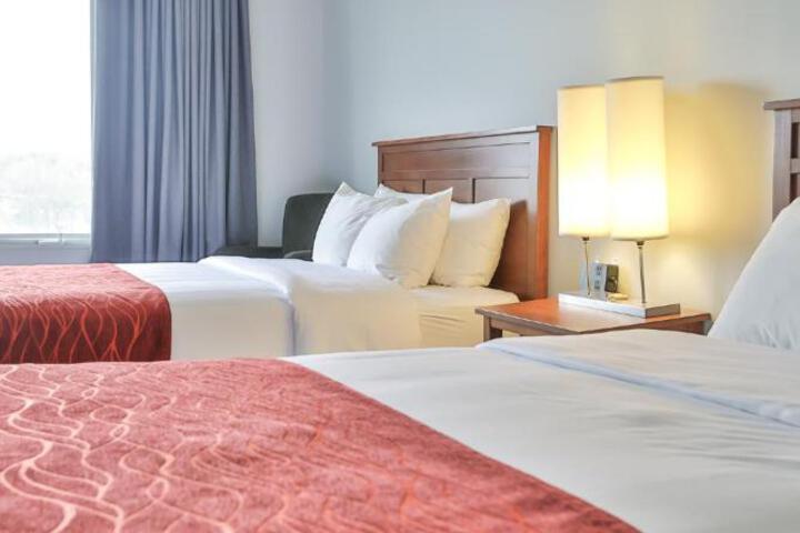 2 Queen Beds (6 of 7)