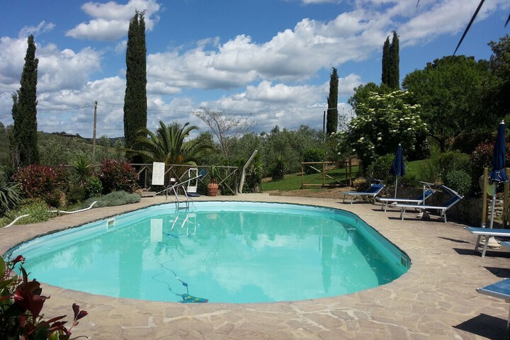Pool 50 of 50