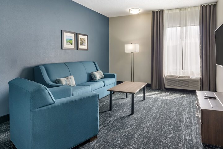 1 King Bed Pet Friendly (12 of 13)