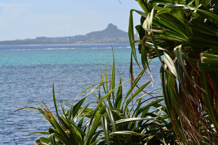 Beach 8 of 11