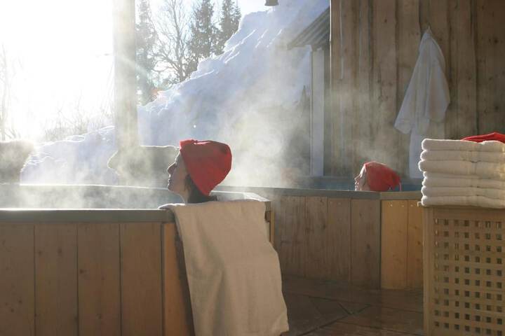 Wellness Treatments