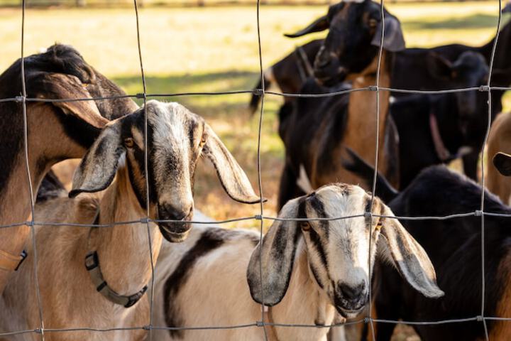 Childrens Activities 59 of 122