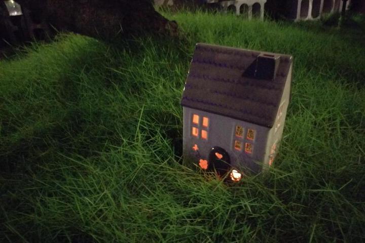 Photo 15