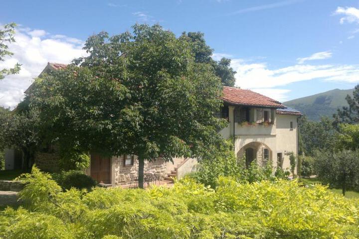 Casale degli ulivi