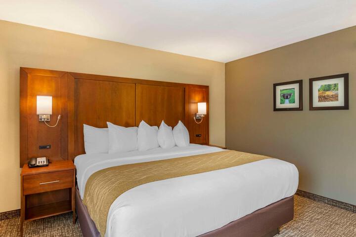 1 King Bed (2 of 10)