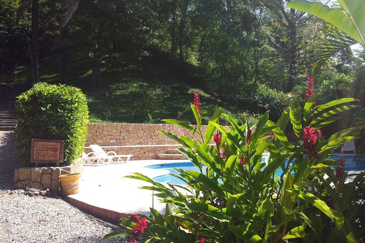 Hotel Pool