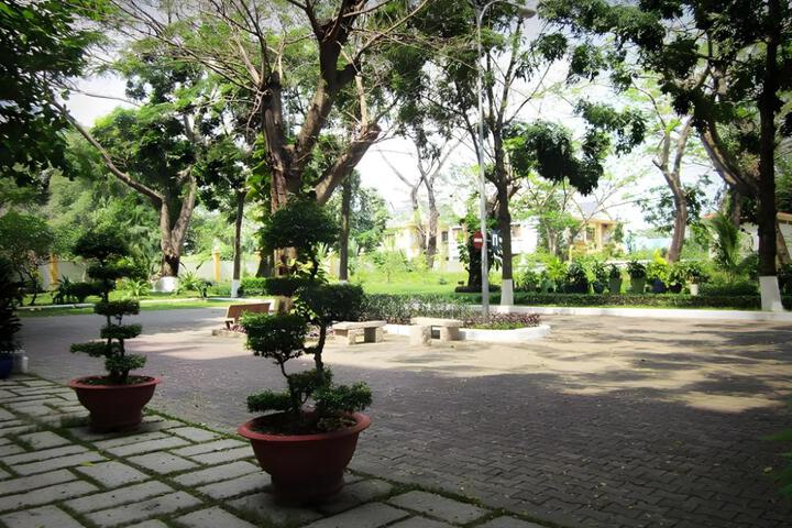 Photo 9