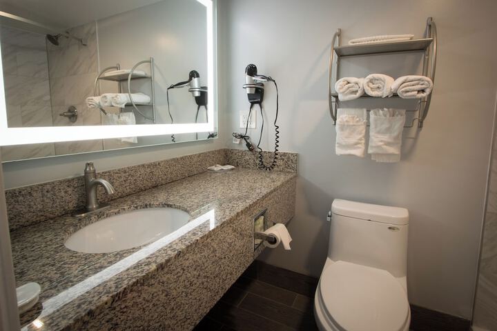 1 King Bed Pet Friendly Accessible (52 of 90)