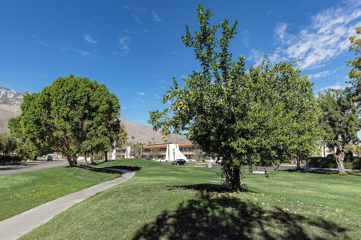 BBQ/picnic area