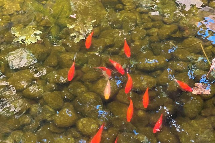 Hotel Exterior 19 of 19