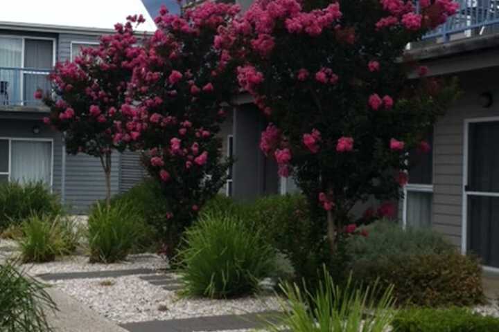 Property Grounds 24 of 27
