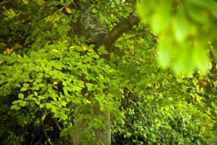 Property Grounds 116 of 118