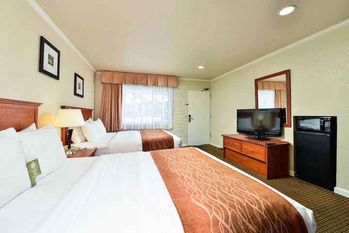Double Accessible King Size Bed (15 of 15)